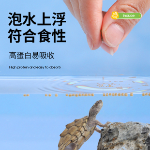 密西西比地图专用粮乌龟饲料食粮食料小乌龟发色黑瘤地图食物龟