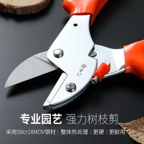 汪吾铨剪刀修树枝剪枝剪园林园艺剪刀果树修剪果园家用强力修花剪