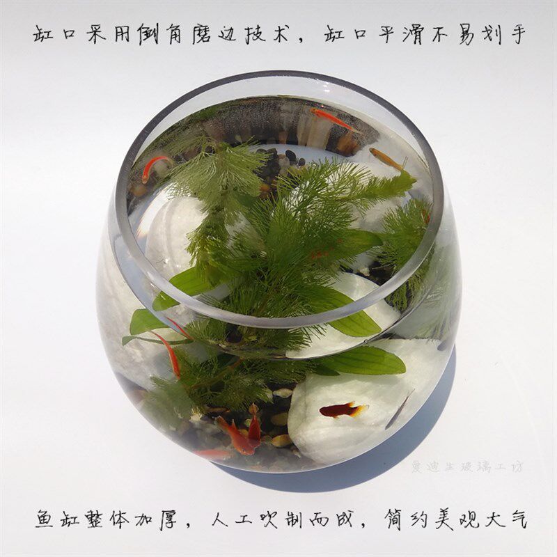 红酒杯款玻璃鱼缸 大号高脚酒杯形鱼缸超白玻璃创意鱼缸水培花瓶