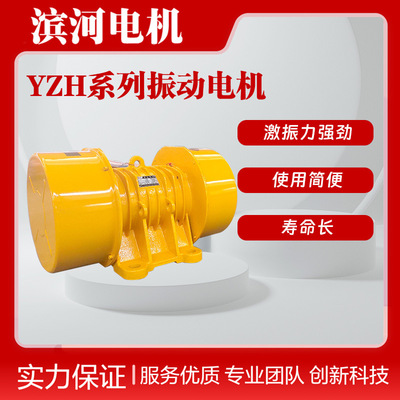 滨河振动电机YZH-50-6BZ激振源