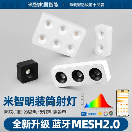 智能MESH2.0新版明装射灯卧室斗胆灯方形led双头免吊顶无主灯筒灯