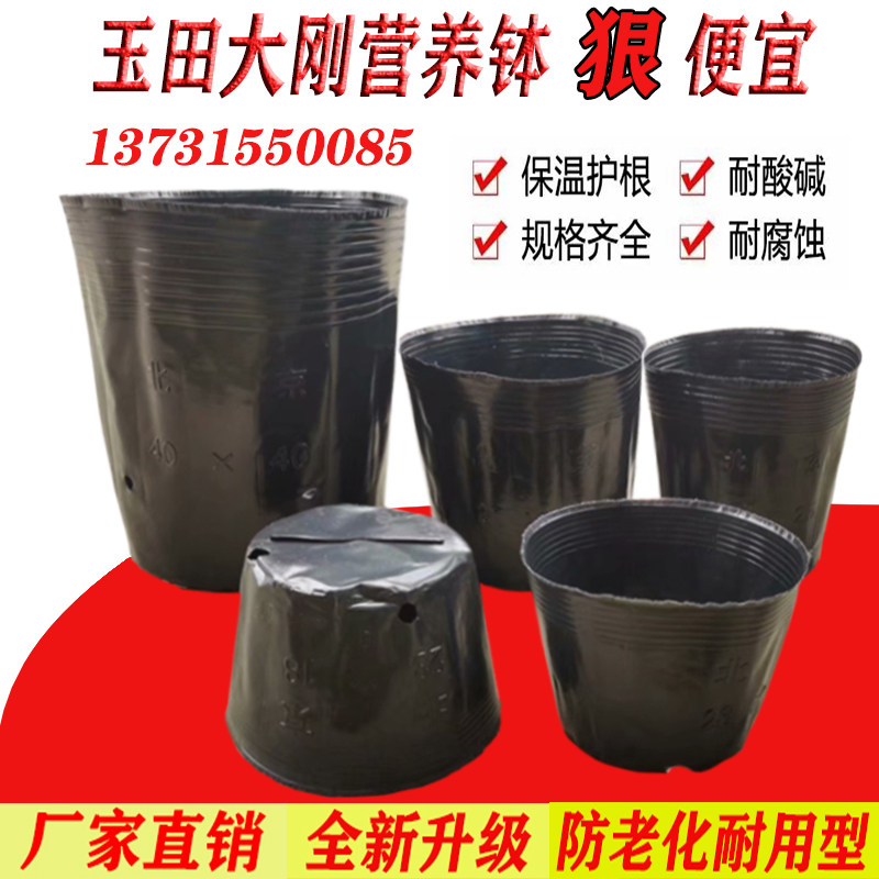树苗袋育秧盆营养钵塑料黑色育苗盆育苗杯西瓜杯营养钵杯一次性
