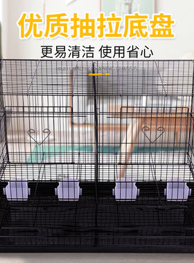鸽子笼子家用鸽笼白鸽养殖鸽舍配对铁笼巢箱大型种鸽繁殖大号特大