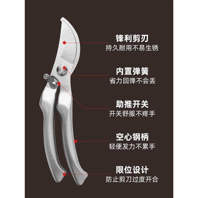 园艺剪枝剪刀修枝剪不锈钢果树园林树枝盆景修剪造型专用剪子工具图片