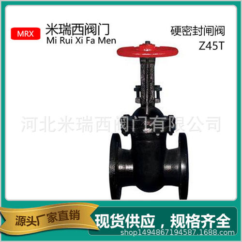 硬密封明杆闸阀法兰闸阀防护闸阀铸铁铜芯闸阀厂家供应 河北Z41T