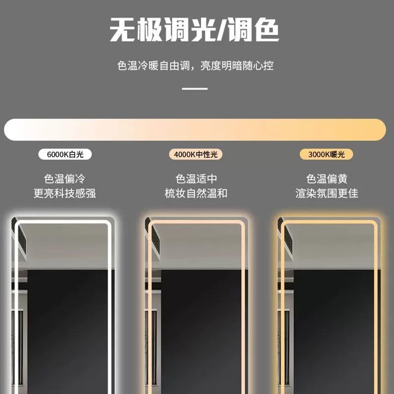 挂墙镜子全身镜落地带灯穿衣镜长方客厅走廊家用贴墙壁挂式试衣镜