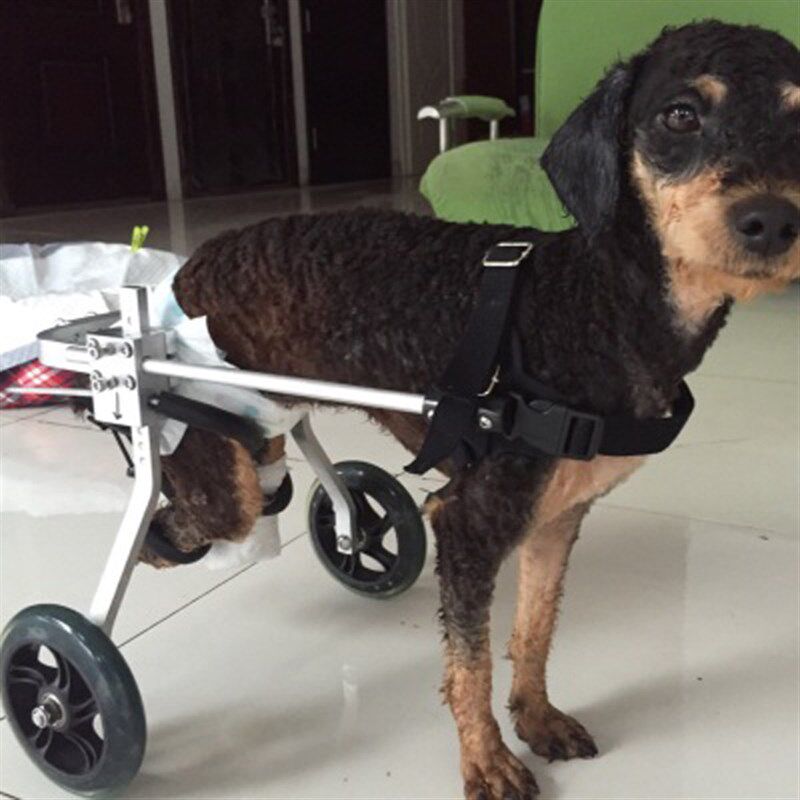 狗轮椅瘫痪狗代步车残疾狗辅助后肢锻炼车断腿狗猫宠物车康复轮椅