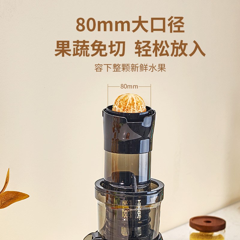 格立高大口径榨汁机汁渣分离原汁机家用全自动易清洗慢磨炸果汁机