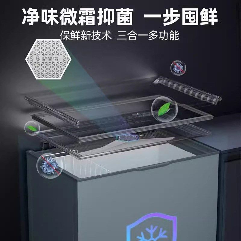 星星冰柜家用100/240/300升L小型减霜薄门商用冰箱柜冷藏冷冻冷柜
