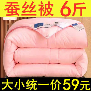 通用棉被单人学生宿舍春秋被心空调夏凉被 被子加厚冬被芯保暖四季