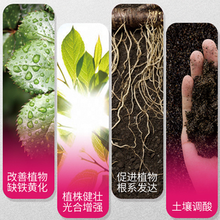 海蒂的花园施奇黄叶必治铁氨基酸微量元素肥料叶面肥水溶花卉肥料