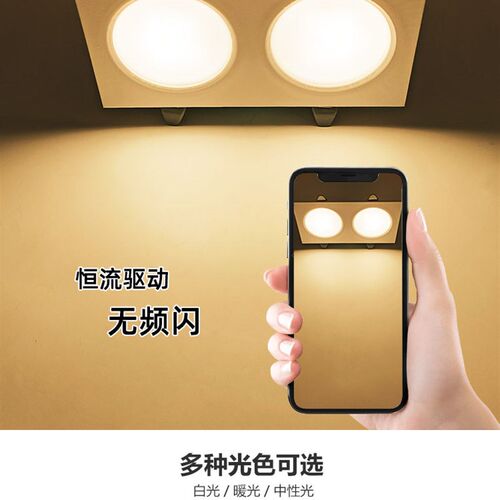 led单头双头长方形筒灯网格吊顶专用嵌入式过道天花格栅斗胆射灯