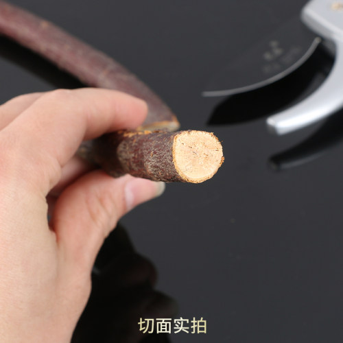 爱晨园艺剪刀修枝剪果树剪刀多功能家用省力树枝剪子工具修花剪刀