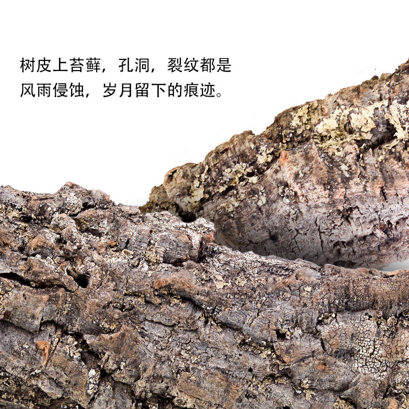爬虫爬宠天然树洞躲避寄居蟹仓鼠造景洞穴树皮陆龟蜥蜴树蛙蛇蜘蛛