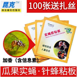 实蝇粘胶板针蜂贴粘虫板柑橘果蝇防虫葡萄灭虫黄板黄蜂割叶蜂沾板