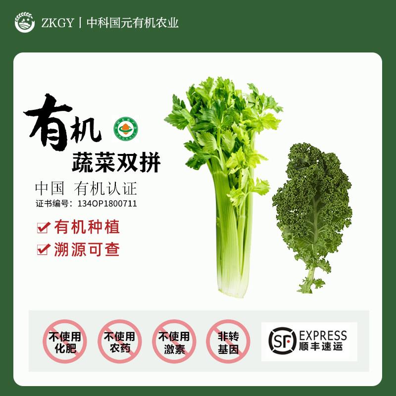 有机西芹有机羽衣甘蓝混搭4斤新鲜蔬菜沙拉轻食榨汁现摘现发顺丰