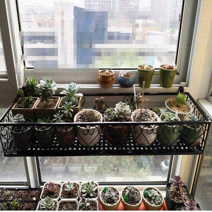 欧式包邮阳台花架窗户悬挂多肉铁艺花盆架客厅窗台壁挂式绿萝花架