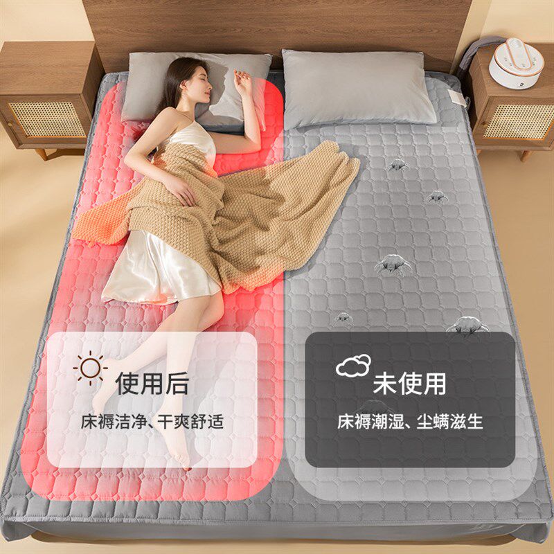 大功率电热毯加水双人床水暖毯电褥子2024新款双控调温水循环家用