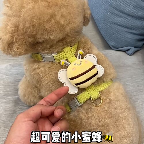 猫咪牵引绳狗狗背心式小型犬博美比熊泰迪猫咪外出防走丢溜猫狗链