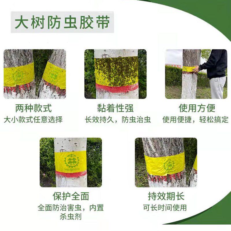 果树粘虫胶带树木防虫胶带园林苗木通用双面诱虫胶带粘缠大树包邮