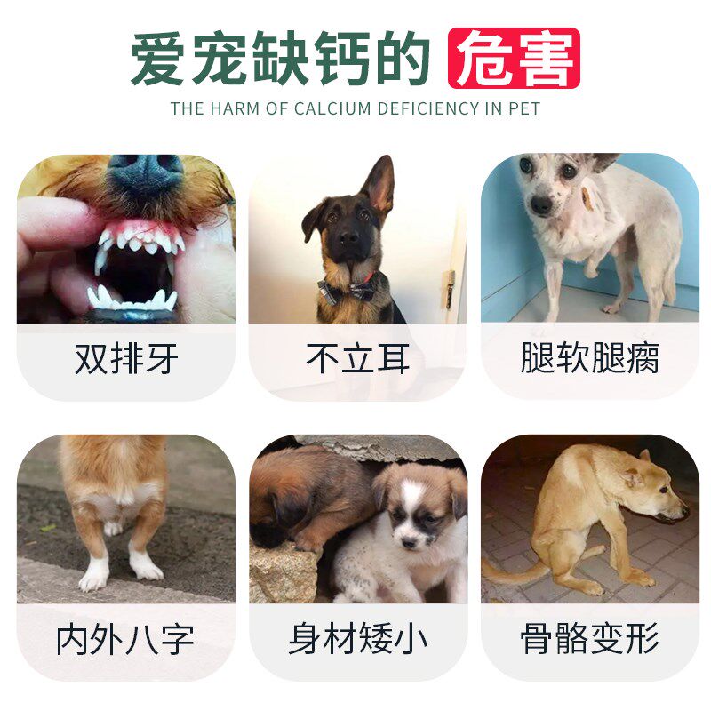 狗钙片比熊专用博美成犬幼犬健骨补钙狗狗小型犬腿软腿瘸狗补钙