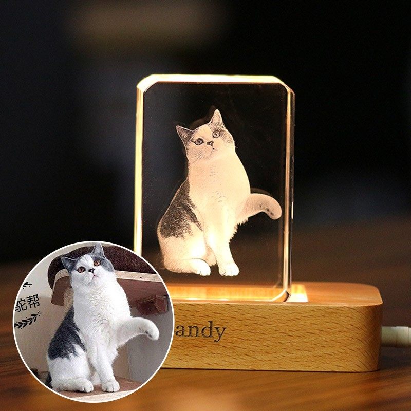 宠物纪念照片礼物小猫狗狗水晶立体内雕定制发光礼品送闺蜜走心礼