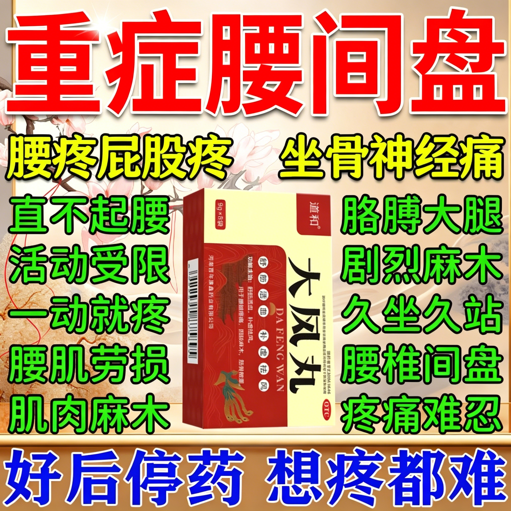 【人福】大风丸9g*8袋/盒