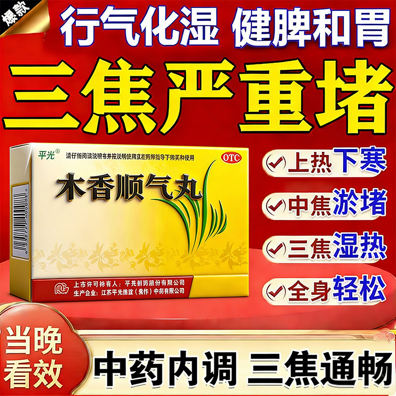[平光]木香顺气丸60mg*100丸*10袋/盒图片