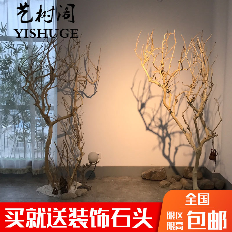 包邮天然干树枝庭院造景树装饰插花瓶枯枝橱窗摆件枯树布景许愿树