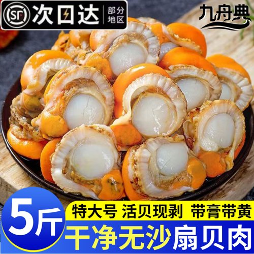 带黄带膏5斤特大扇贝肉新鲜冷冻