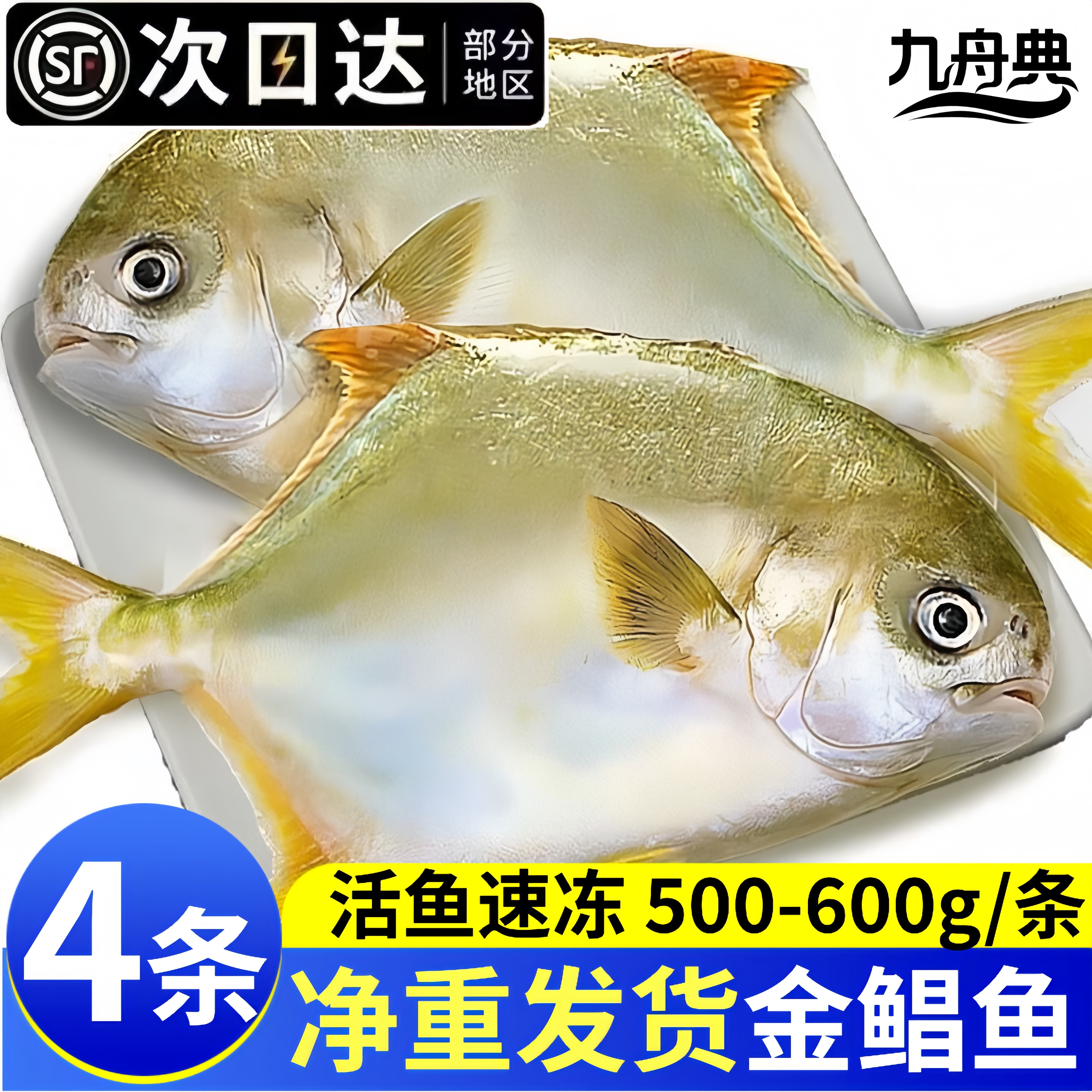 新货4条金鲳鱼深海新鲜顺丰包邮