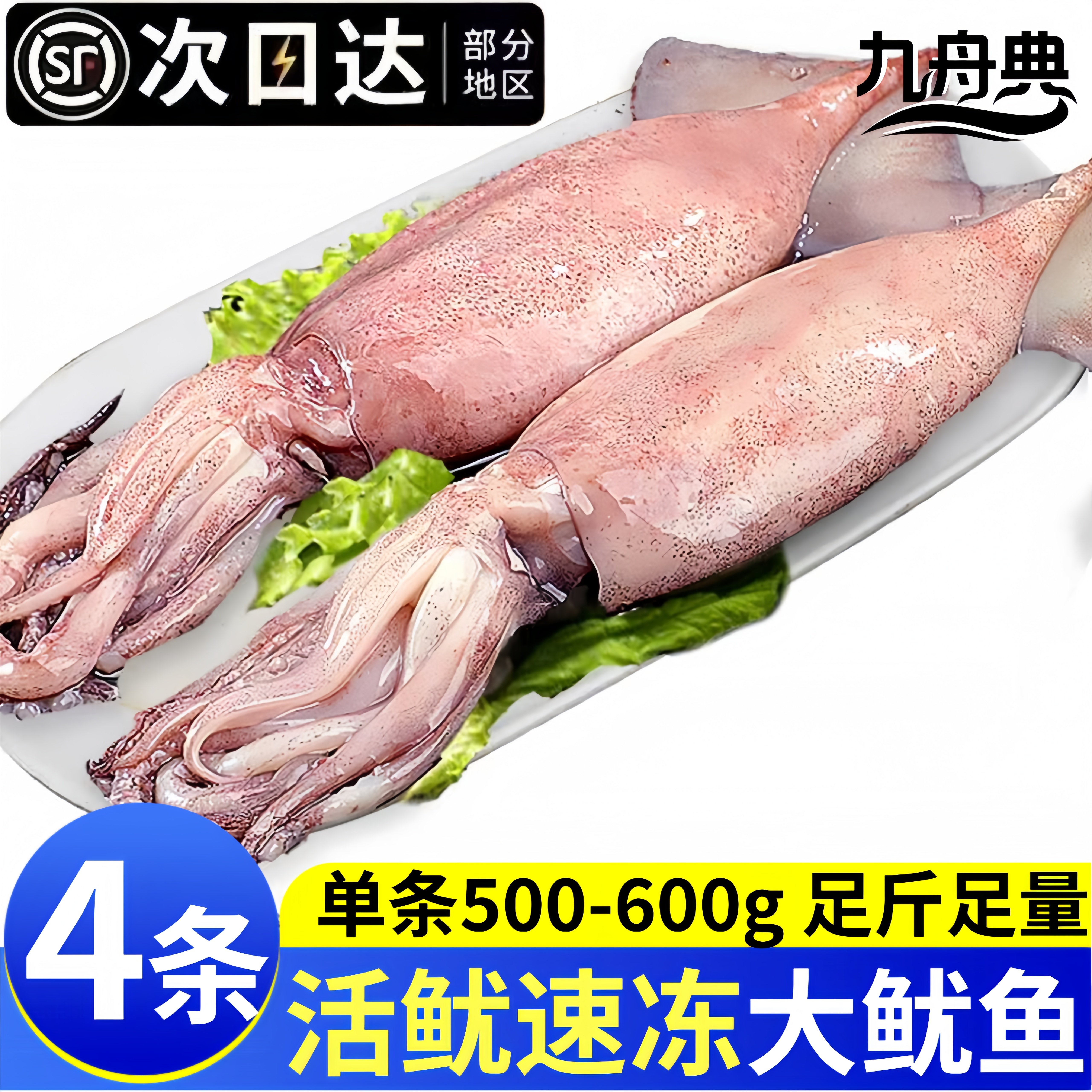 九舟典特大整只鱿鱼烧烤商用推荐
