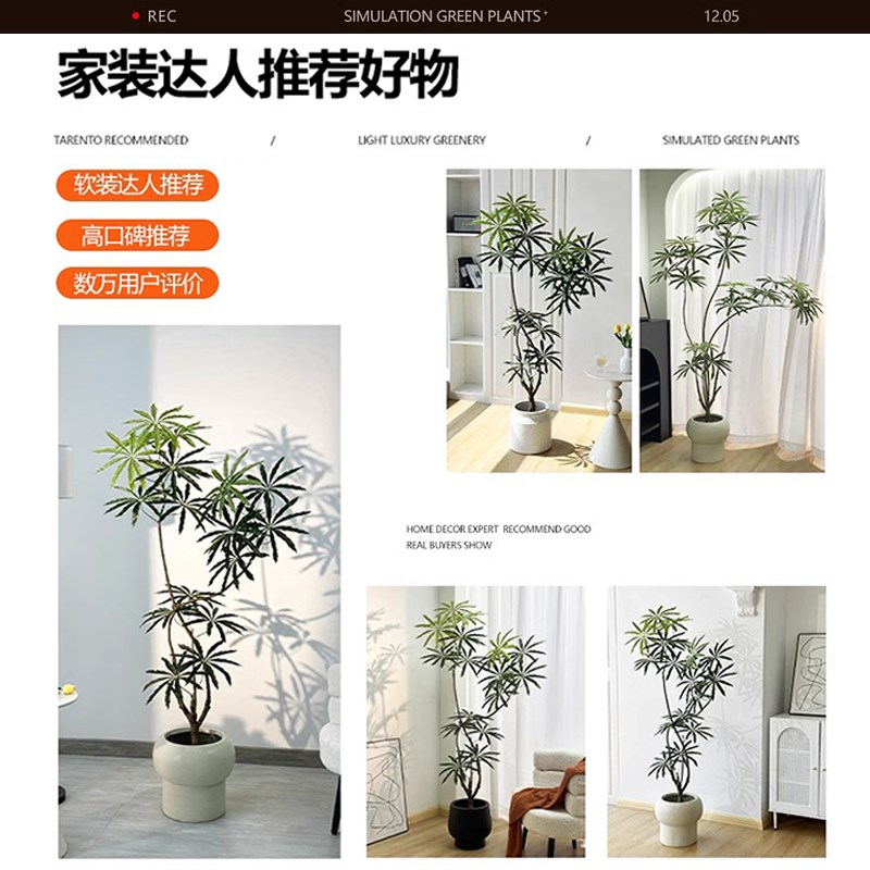 假绿植装饰仿真室内盆栽大型落地摆件客厅轻奢防真绿色植物孔雀木