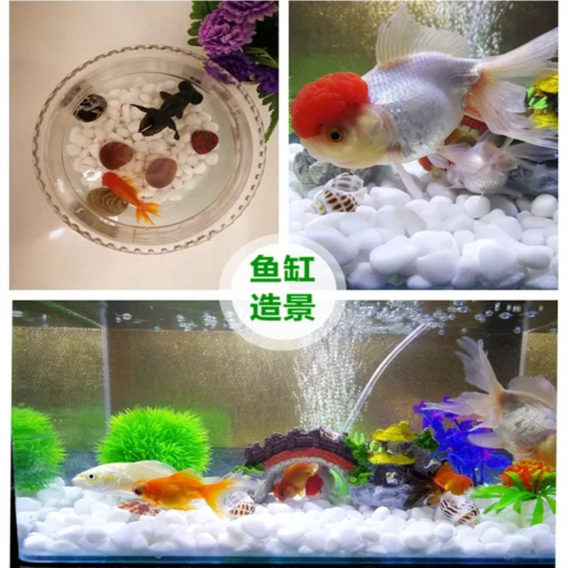 天然白石子鹅卵石头汉白玉石彩石园艺盆栽石头多肉铺面庭院造景