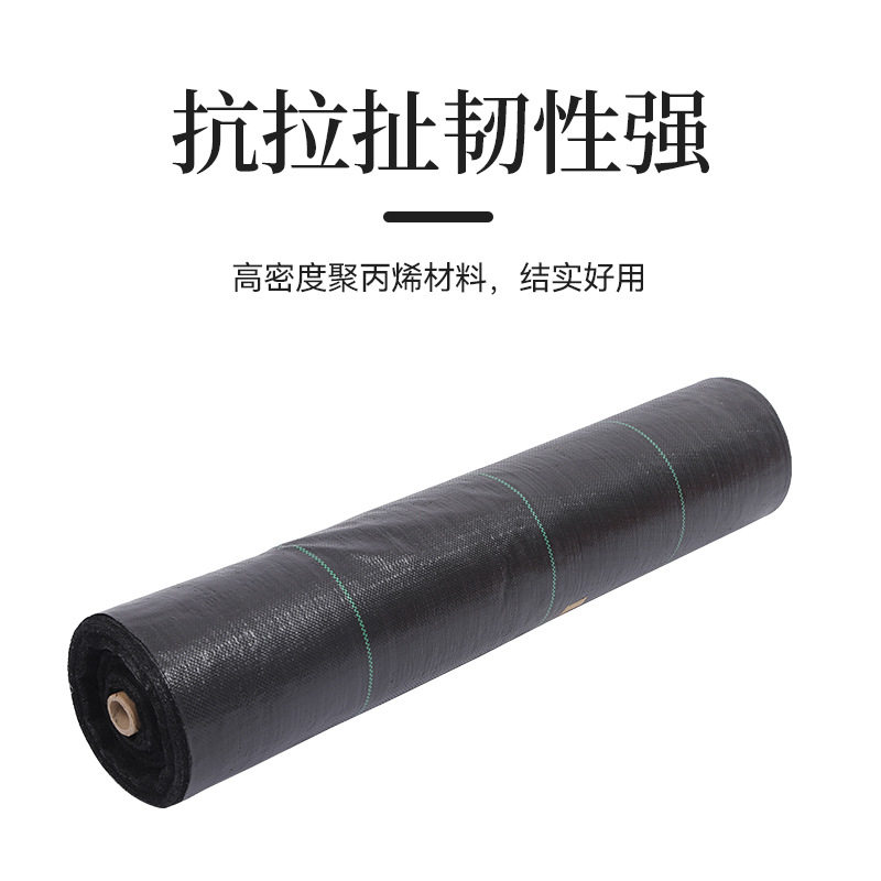 加厚除草布防草布地钉农用果园大棚新型地膜遮草盖草透水园艺地布