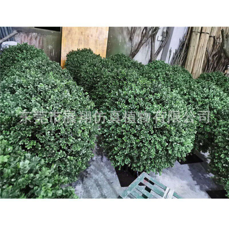 仿真黄杨木杨梅叶圣生白蒂树枝假果枝福禄桐叶室插花摆件花卉景观