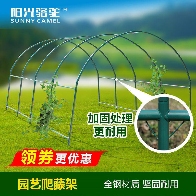 楼顶阳台爬藤支架 钢管蔬菜瓜架庭院花园用棚架 可选长宽高尺寸