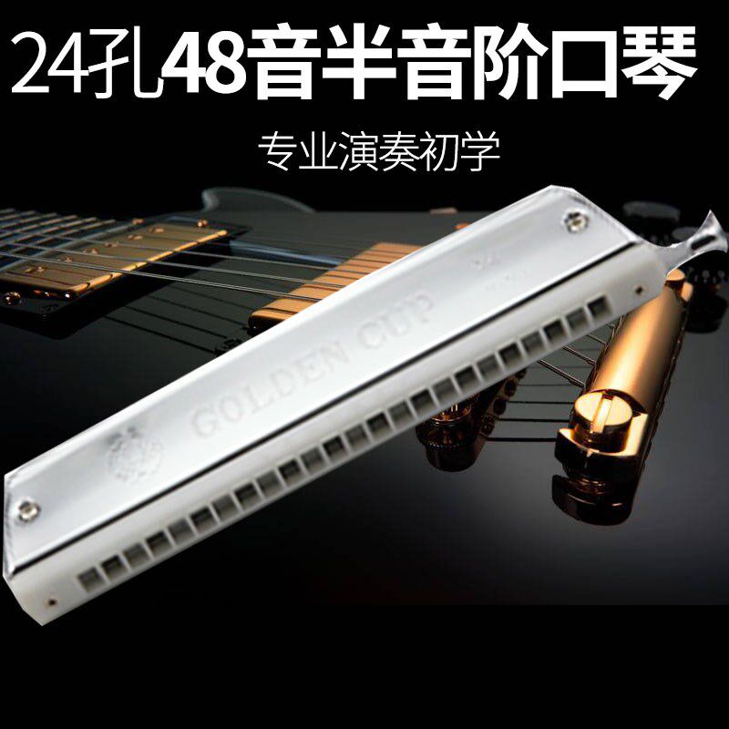 塔牌24孔48音半音阶口琴C大调初学者儿童学生初学入门练习乐器