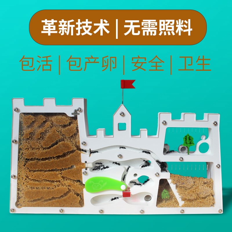 正品蚂蚁城堡蚂蚁工坊送收获蚁后学生观察生态箱蚁巢室屋庄园家园