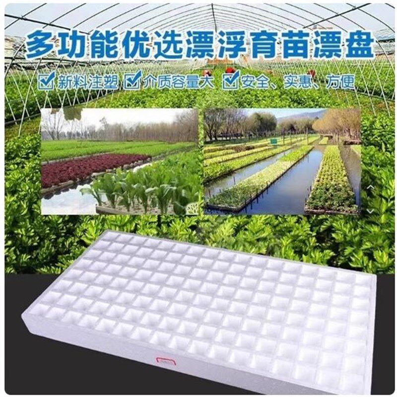 漂浮泡沫板水上种植泡沫育苗盘穴盘秧盘水培盘育苗盘白色泡沫盘