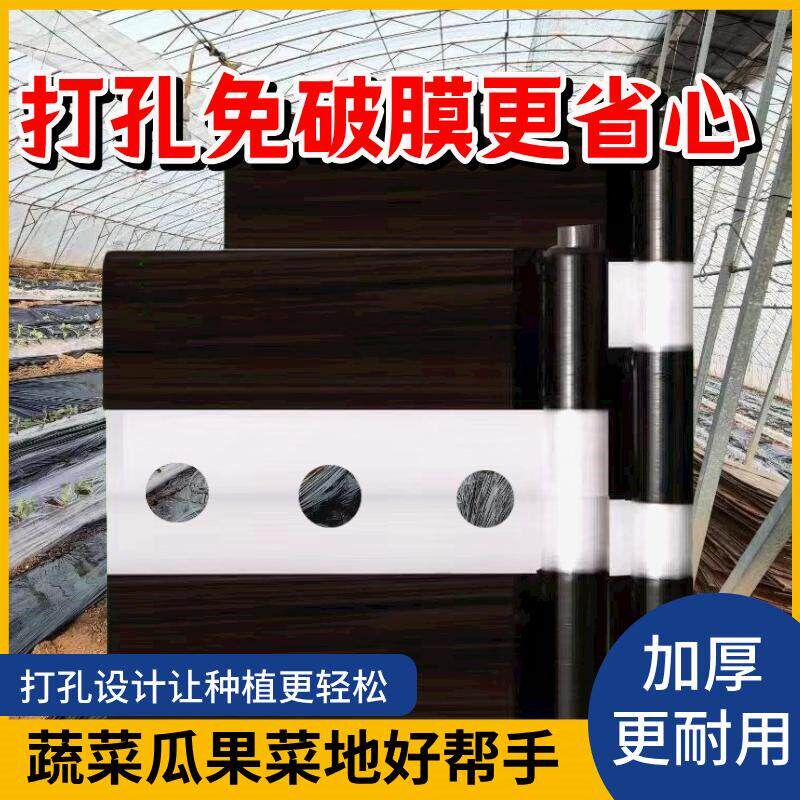 打孔农用塑料膜黑白相间地膜单白双白色地膜保温保湿除草蔬菜带孔