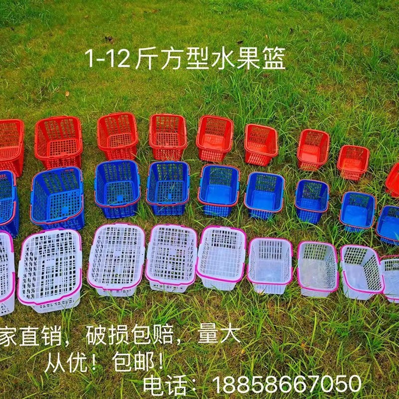 包邮1-12斤草莓杨梅无花果葡萄篮鸡蛋水果篮采摘篮可配盖卡扣设计