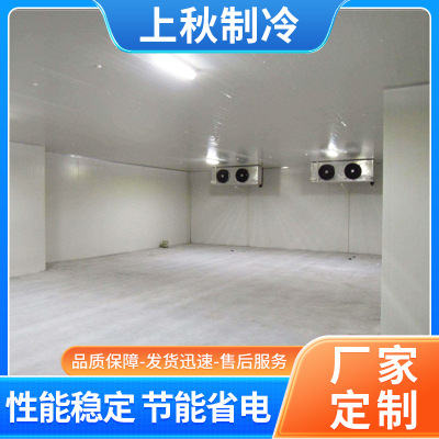上秋制冷简易保鲜储藏冷库设备 水果气调冷库蔬果反季节项目设备