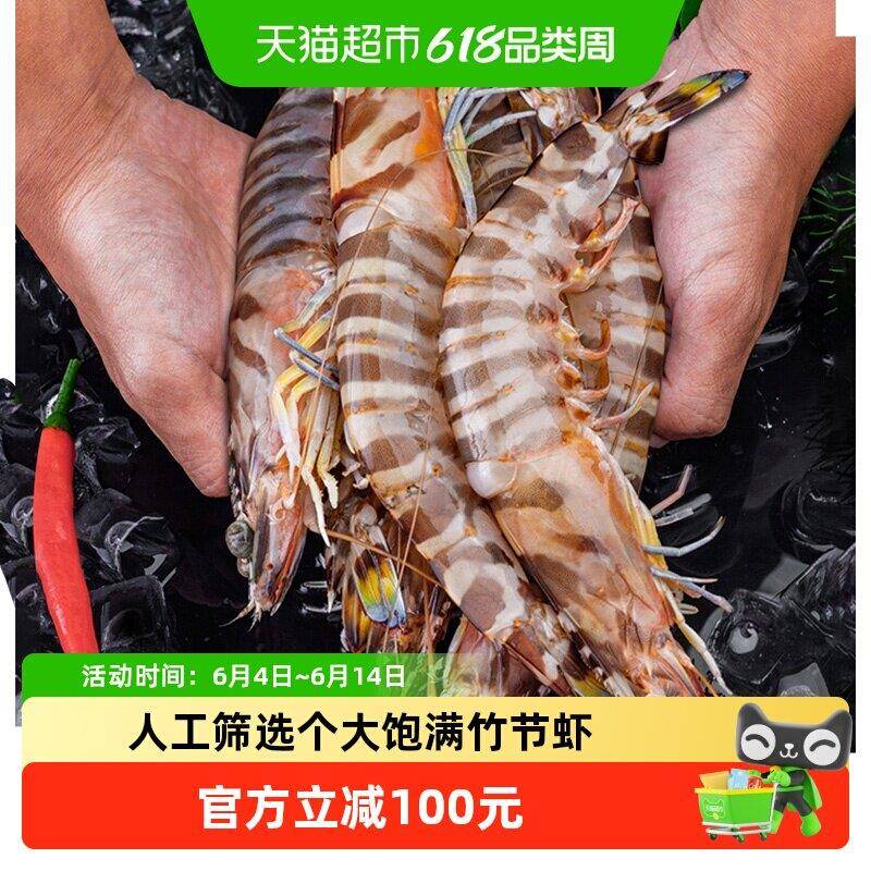 顺丰上门九节虾斑节虾超大竹节虾特大基围虾鲜活速冻大虾海鲜