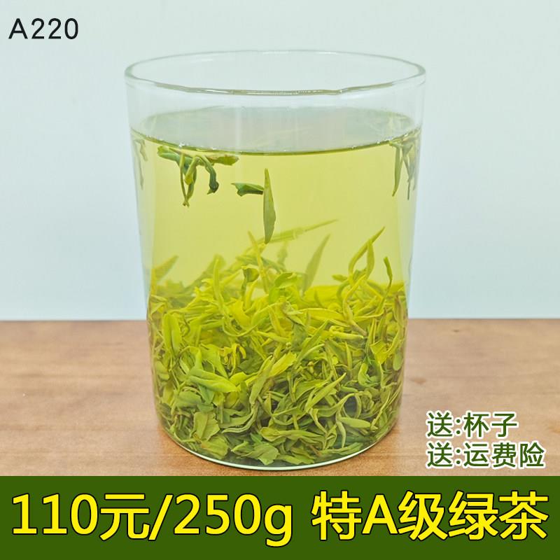 特级A日照绿茶2026年新茶春茶250克自产炒青高山板栗香两车经营店