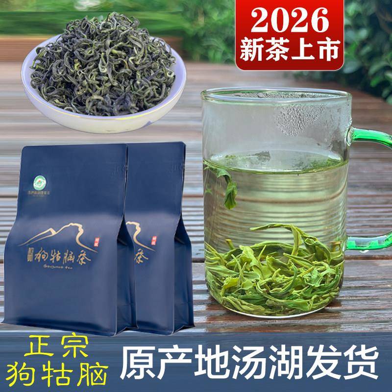 2026新茶江西遂川狗牯脑茶炒青绿茶高山特级自已喝栗香口粮工作茶
