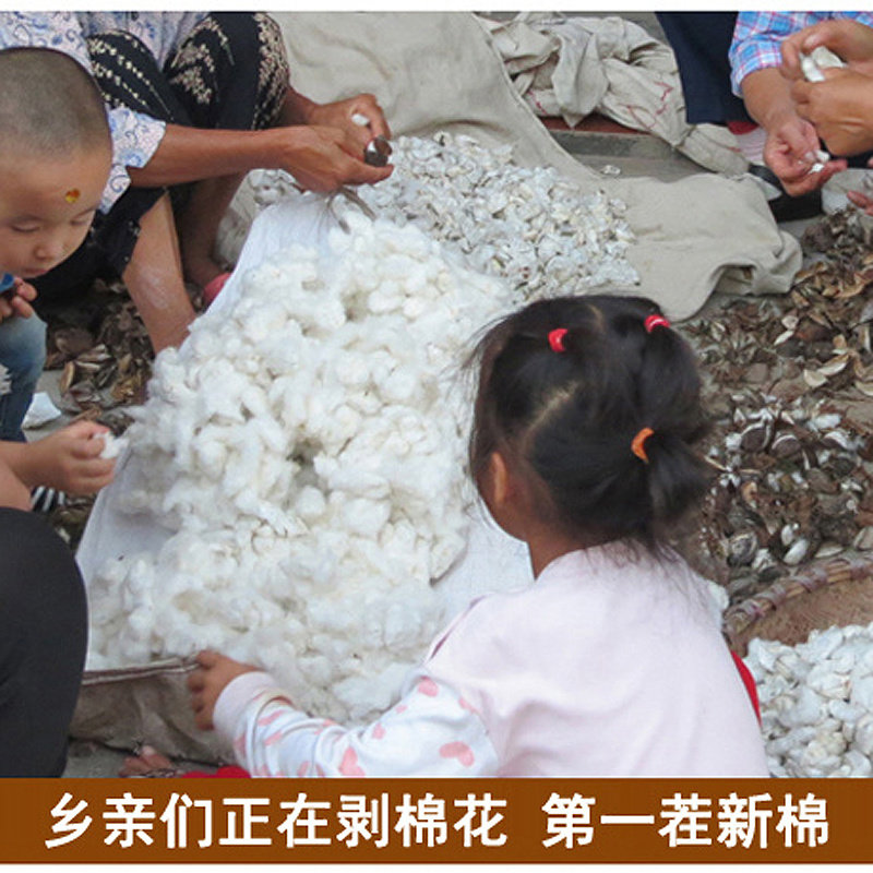 纯棉花被子手工棉被春秋全棉胎被芯垫被棉絮床垫10斤加厚保暖冬被