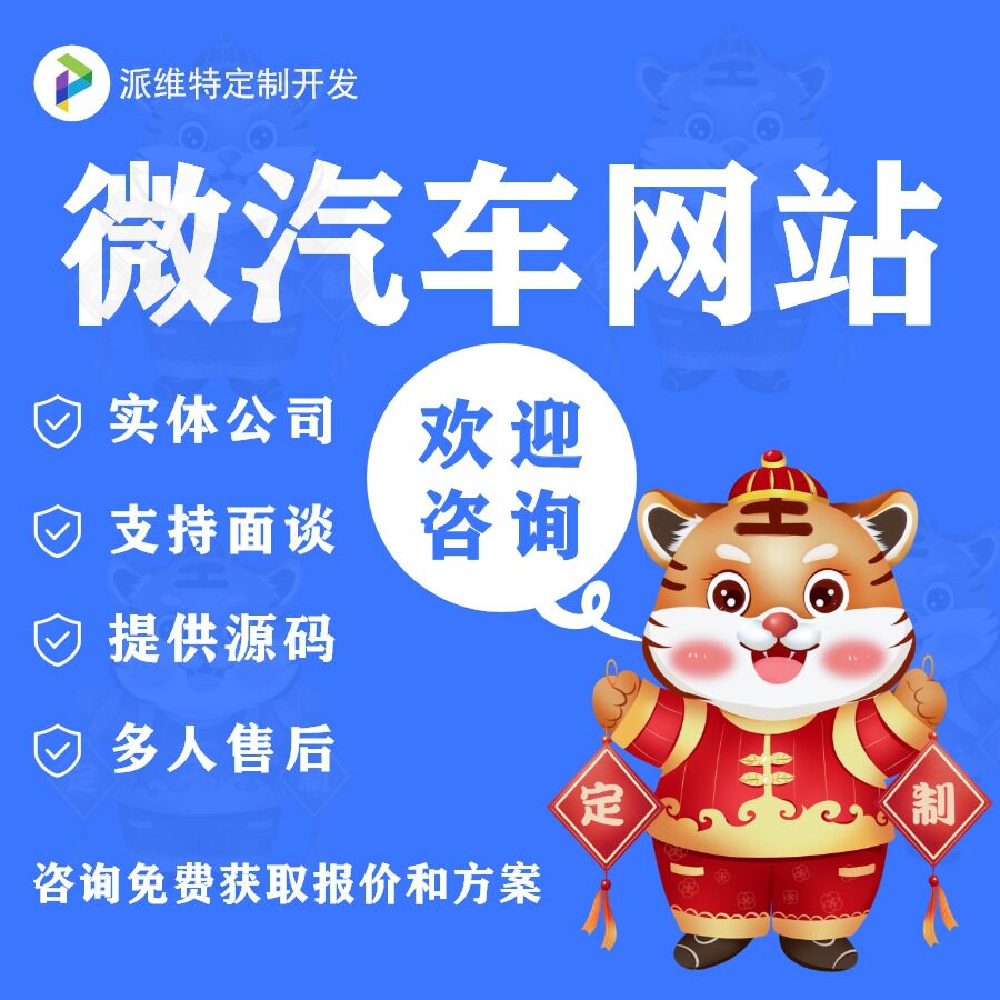 微汽车网站建设微汽车4S店系统电线扎带/束线带