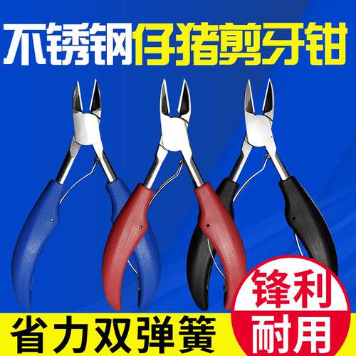 不锈钢兽用剪牙钳小猪用剪牙钳剪齿钳牙剪仔猪羊兔子剪牙器