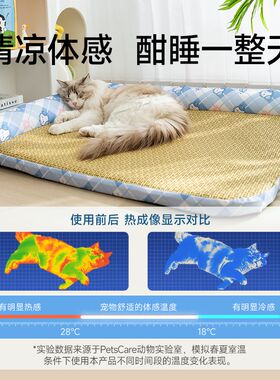 猫窝夏季猫床夏天的超级大猫窝猫咪睡窝幼猫专用沙发四季通用狗窝
